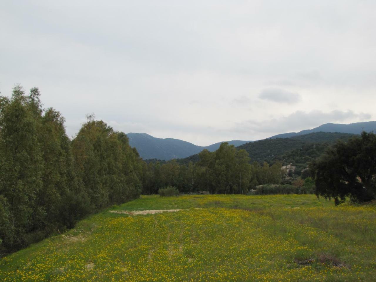 Farm stay Monte Gruttas
