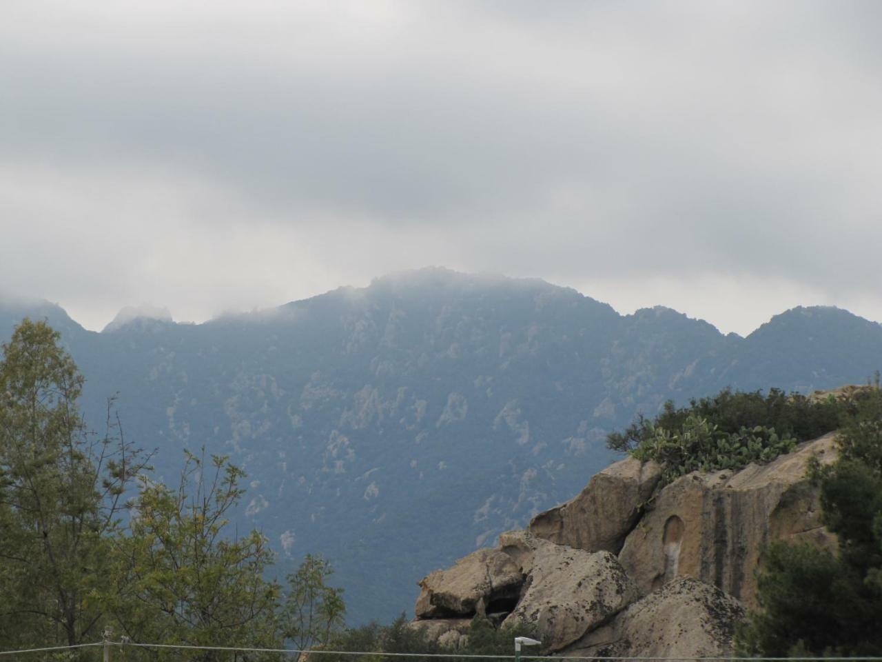 Monte Gruttas *