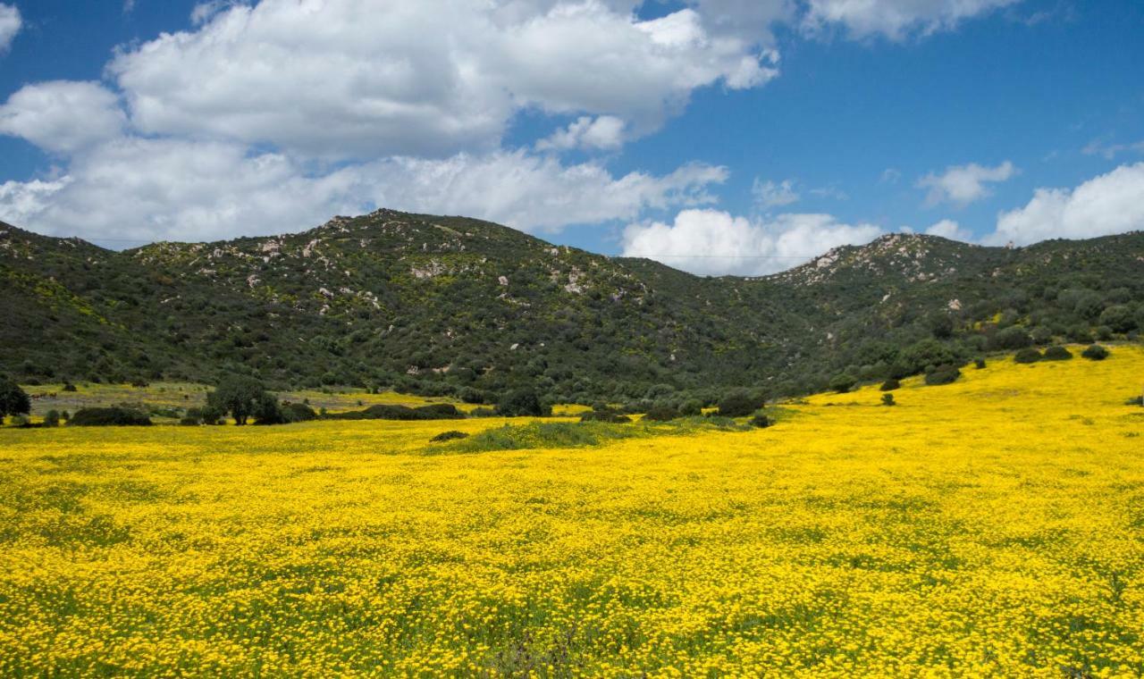 Monte Gruttas Farm stay